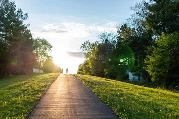 Cost of Asphalt Pathway Installation in Citrus Heights