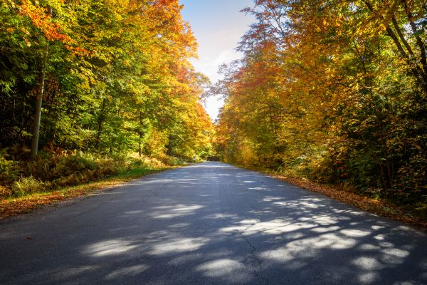 Cost of Blacktop Replacement in Citrus Heights